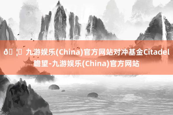 🦄九游娱乐(China)官方网站对冲基金Citadel瞻望-九游娱乐(China)官方网站