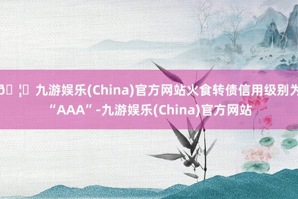 🦄九游娱乐(China)官方网站火食转债信用级别为“AAA”-九游娱乐(China)官方网站