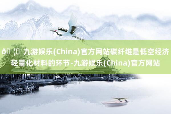 🦄九游娱乐(China)官方网站碳纤维是低空经济轻量化材料的环节-九游娱乐(China)官方网站