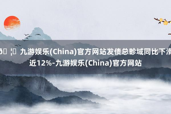 🦄九游娱乐(China)官方网站发债总畛域同比下滑近12%-九游娱乐(China)官方网站