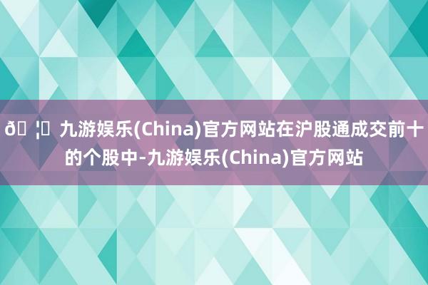 🦄九游娱乐(China)官方网站在沪股通成交前十的个股中-九游娱乐(China)官方网站