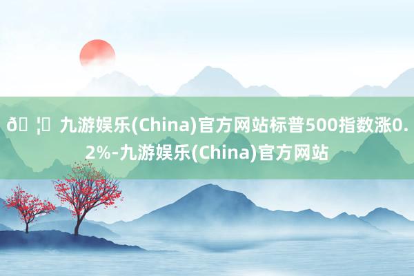 🦄九游娱乐(China)官方网站标普500指数涨0.2%-九游娱乐(China)官方网站