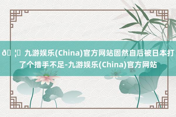 🦄九游娱乐(China)官方网站固然自后被日本打了个措手不足-九游娱乐(China)官方网站