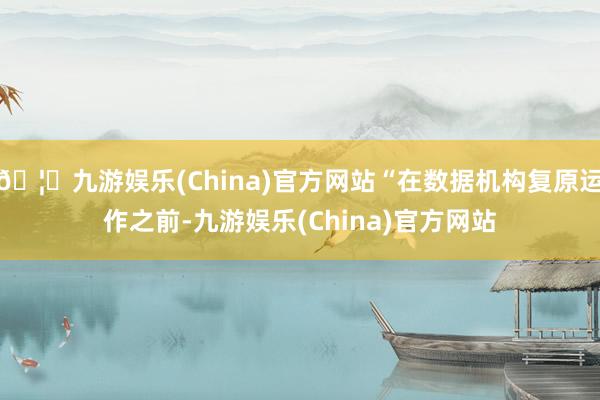 🦄九游娱乐(China)官方网站“在数据机构复原运作之前-九游娱乐(China)官方网站