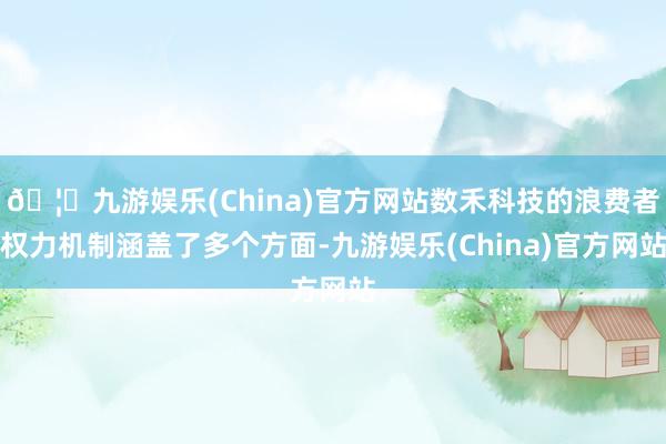 🦄九游娱乐(China)官方网站数禾科技的浪费者权力机制涵盖了多个方面-九游娱乐(China)官方网站
